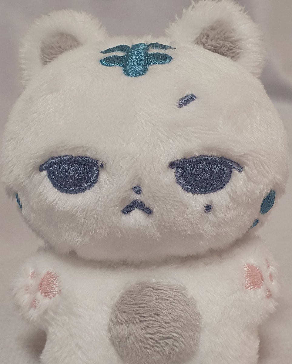 WUHheungTiger's tweet photo. 아기백호 웡랑이 아몬드 실존하다 https://t.co/gCJGIvV5sL
