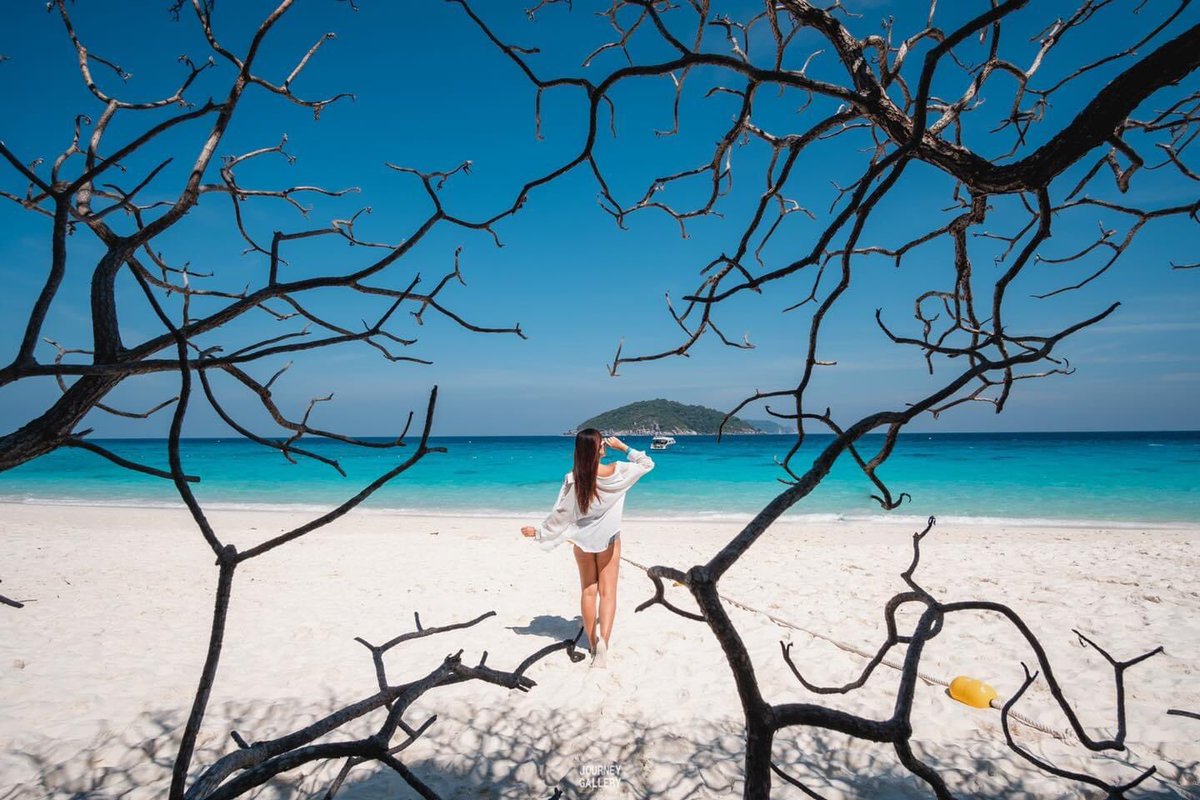 Journey_Gallery's tweet photo. ซัมเมอร์นี้ ทะเลมันเรียกหา
อยากไปเจอน้ำทะเลสีฟ้าสวย ที่ #สิมิลัน

#JourneyGallery #LoveAndaman https://t.co/la6IGk3wii