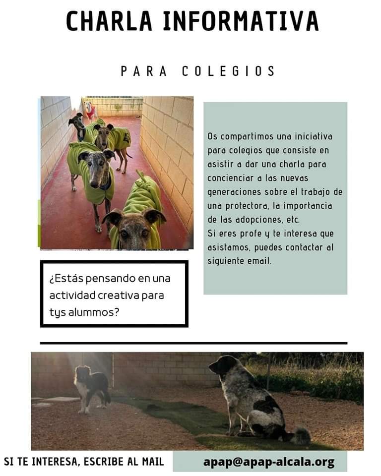 APAPAlcala's tweet photo. ¿Quieres enseñar a tus alumnos acerca del trabajo de las protectoras? 💚
Os proponemos unas charlas educativas en vuestro centro informando sobre nuestro trabajo, o visitando el albergue
Contacta con nosotros
➡️ apap@apap-alcala.org
➡️ 639100008
#profesquemolan
#charlaseducativas https://t.co/eyGH5hGNaa