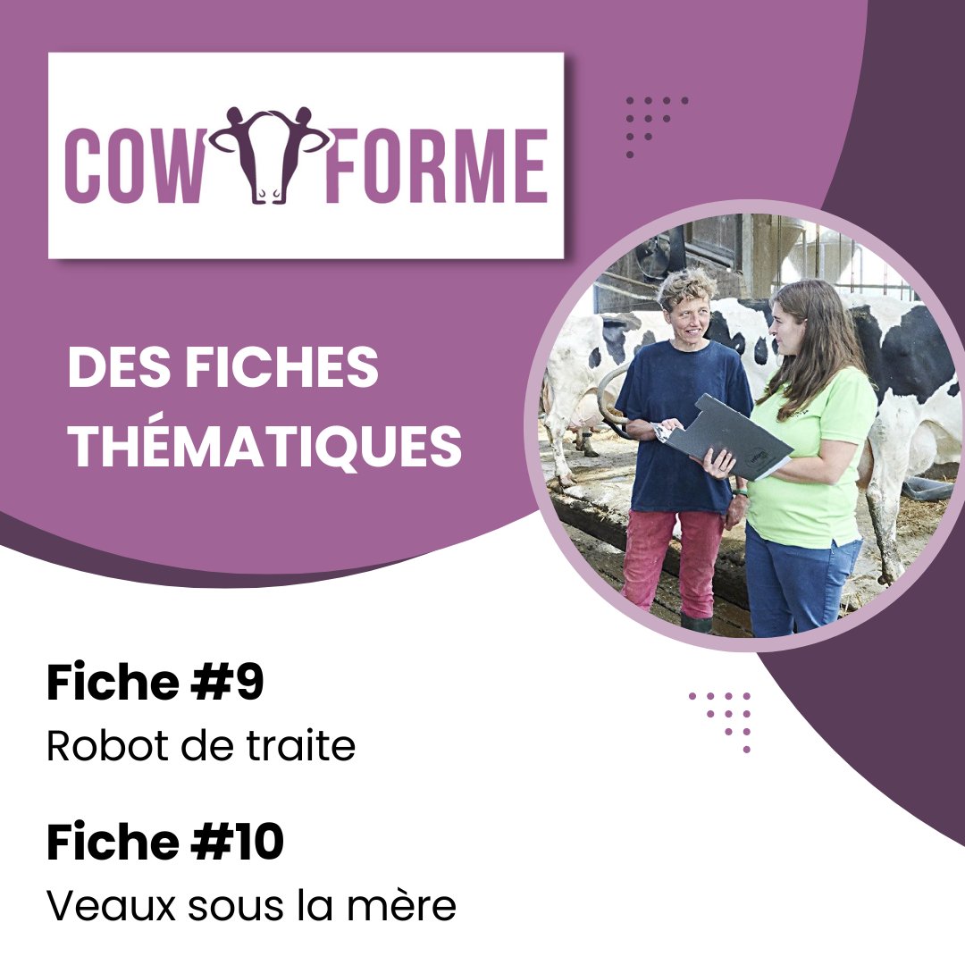 InstitutElevage's tweet photo. Zoom sur 🤓 | Projet #CowForme 🇫🇷🇧🇪
📌 Avoir moins de charge & plus de #qualité de vie #travail ?
✅ Découvrez 2 nouvelles fiches
↪ Sur des solutions mises en place dans des exploitations #bovins 🐄🐂
👉 Fiche #9 -> https://t.co/NFieOs2uFM
👉 Fiche #10 -> https://t.co/hNbZmtN0fA https://t.co/71CBUtjpf4