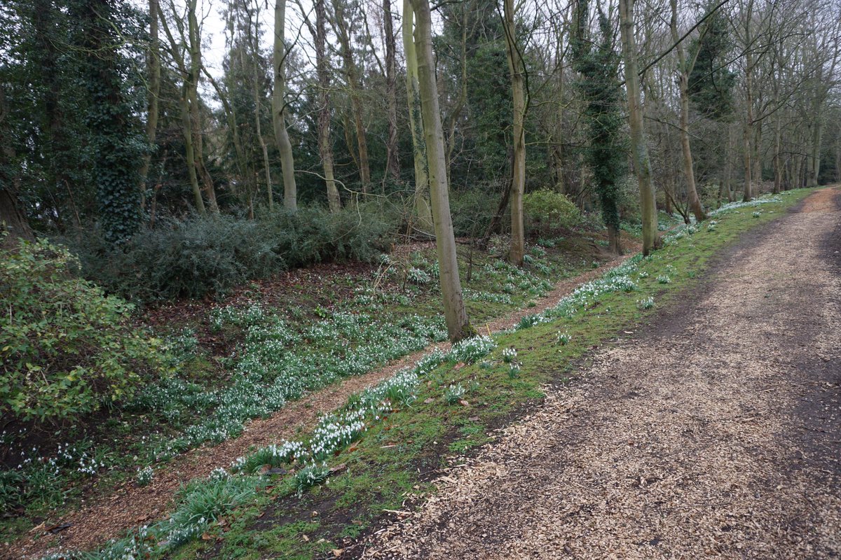 Gill H-M tweet media