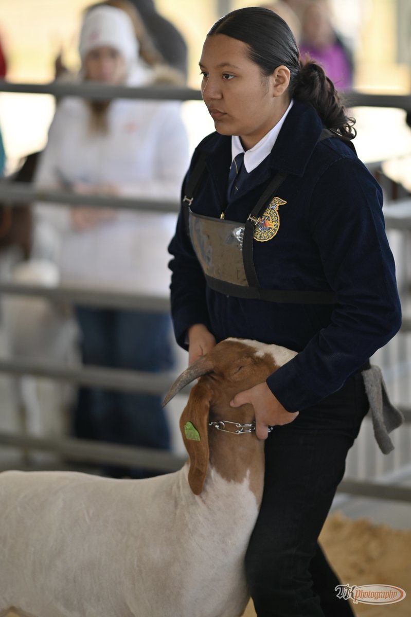 OsceolaCTE's tweet photo. Our #CTErriffic Harmony FFA team from @HarmonyHighFL had 6 show teams comprised of 13 students. Their long list of achievements at these shows included three 1st place wins! For full results, visit the Harmony Ffa Facebook page!
#GetThereFL #CTEOsceola #SkillUpOsceola #CTEMonth https://t.co/X2jsX4mviT