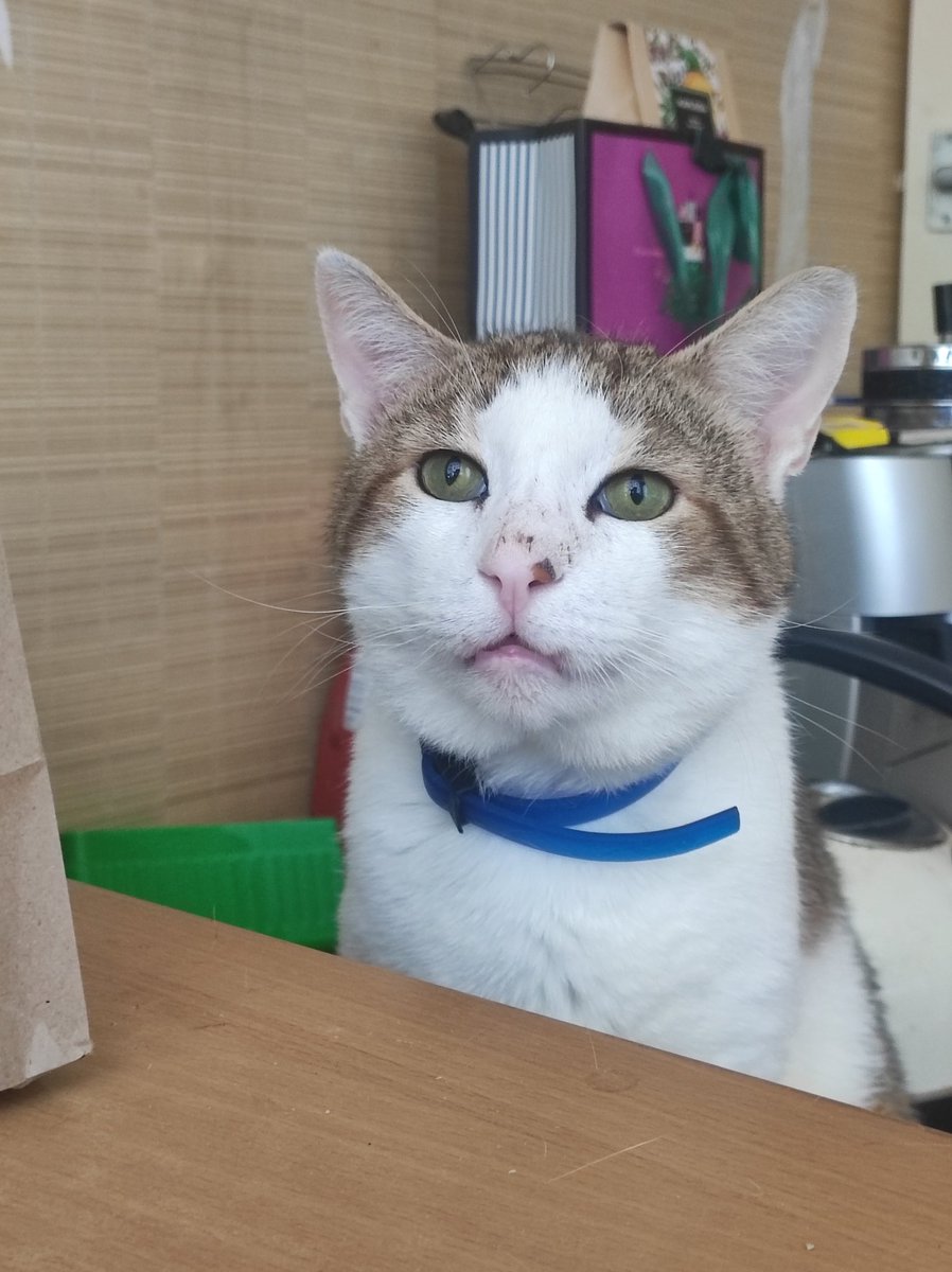 странствующий ☮️ маг-барахольщик on Twitter: "забыла закрыть бутылку ...