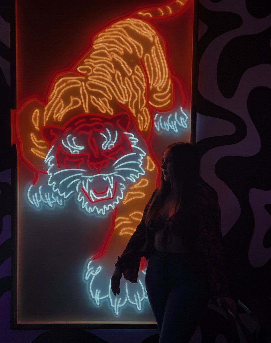 🐯