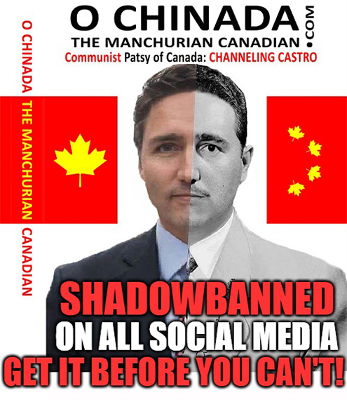 RARosenberger's tweet photo. "What do the Liberals get for their passionate relationship with China? Are we to believe it's reserved to petting and foreplay? Or is our free nation getting screwed? Especially when taxpayers have no idea their “representatives” are pimping them out to anything RED that walks!" https://t.co/HycxpkqmAc