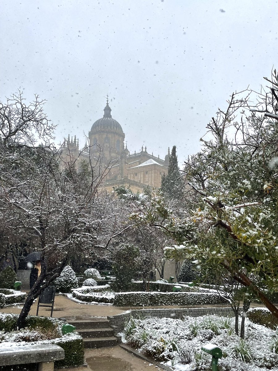 rsjael23's tweet photo. día arreglado, ha nevado en salamanca 🫶🏼☃️ https://t.co/AiNqgSXryw