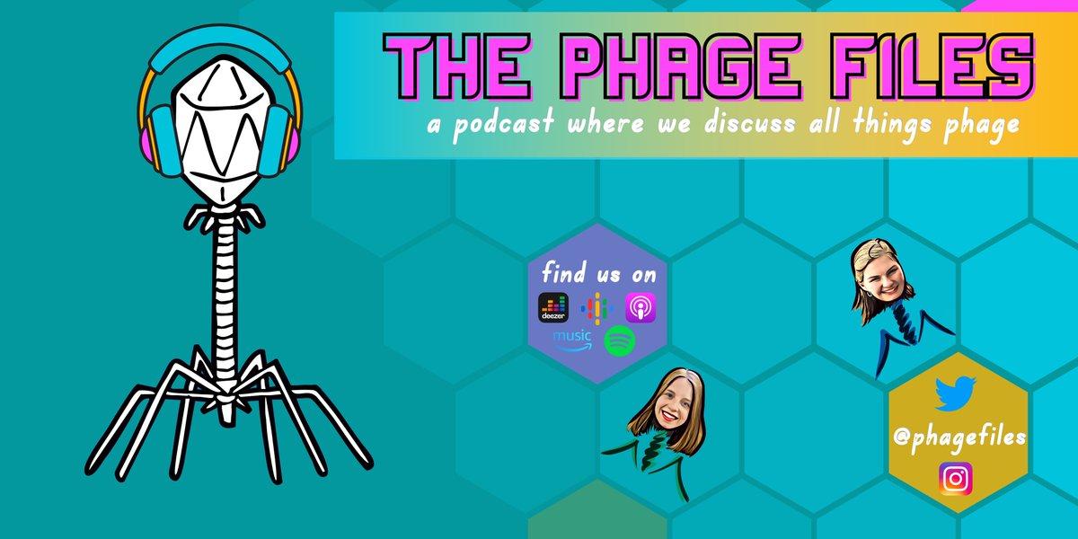Zuzana Paleckova (@zuzanapaleckov1) on Twitter photo <a href="/quinnit_2_winit/">Rebecca Quinn</a> and I finally released our first <a href="/PhageFiles/">Phage Files</a> podcast episodes! Tune in on Spotify, Google Podcasts, Deezer and Amazon Music to listen to our first episodes about phages.
Thank you <a href="/Ellie__Jameson/">Dr Ellie Jameson</a> for our beautiful phage mini versions.
Stay tuned! <a href="/quinnit_2_winit/">Rebecca Quinn</a> and I finally released our first <a href="/PhageFiles/">Phage Files</a> podcast episodes! Tune in on Spotify, Google Podcasts, Deezer and Amazon Music to listen to our first episodes about phages.
Thank you <a href="/Ellie__Jameson/">Dr Ellie Jameson</a> for our beautiful phage mini versions.
Stay tuned!