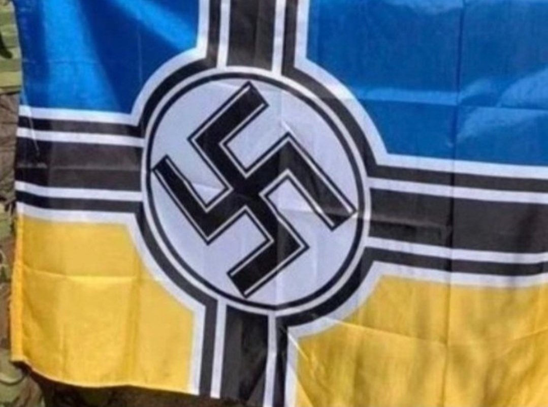 milagodzilla tweet media