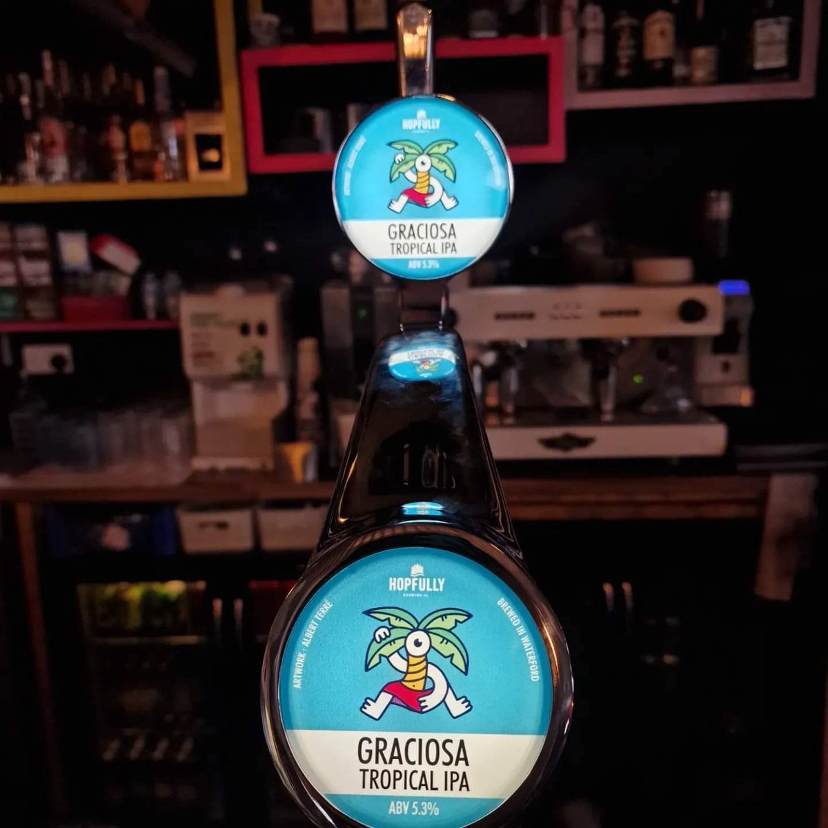 To celebrate having THE BEST WINGS IN IRELAND! All day today we are offering a portion of wings and a pint of our new draft beers for only €10!!! #kingofthewings #irishtakeawayawards #hopfully