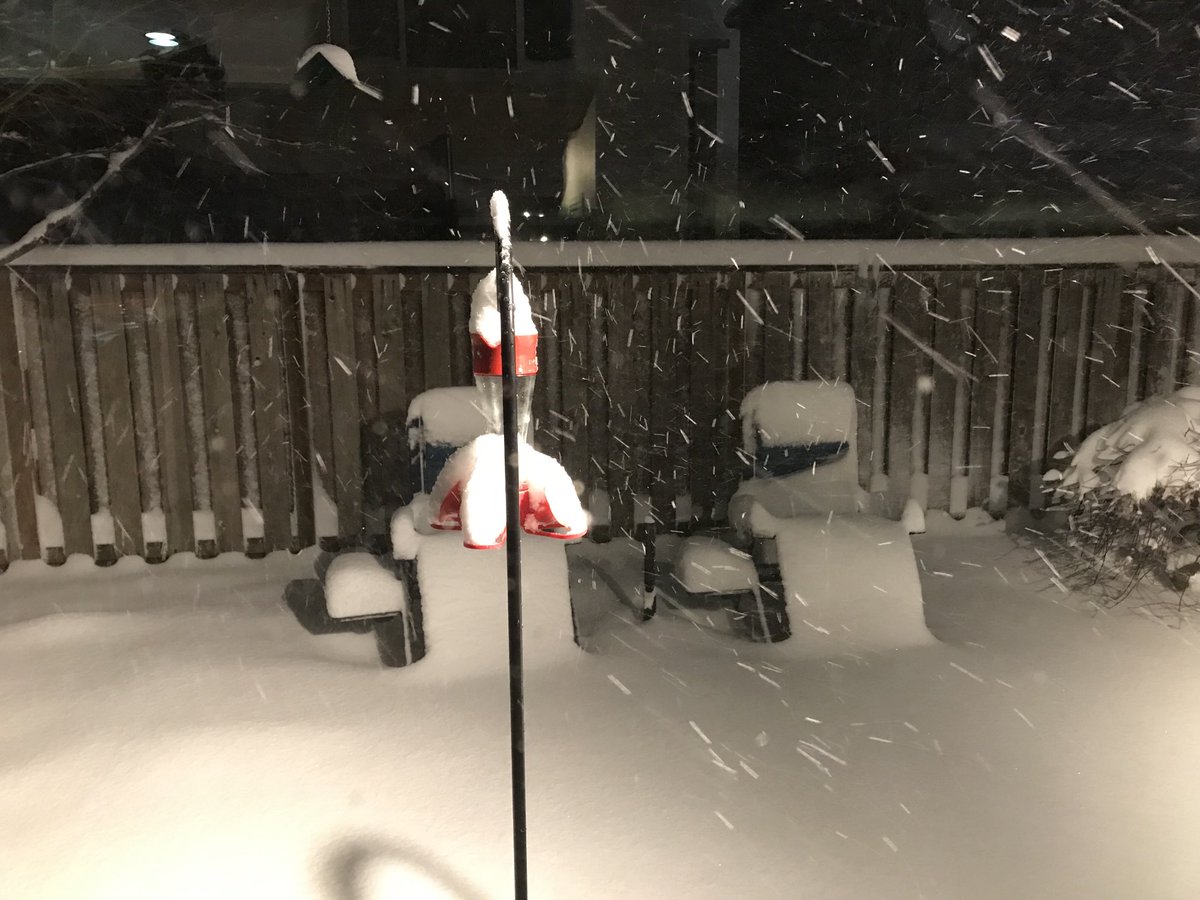 patybengle's tweet photo. Good morning OREGON!

6” on the ground and still snowing here in Hillsboro. https://t.co/PoeqfmO9wt