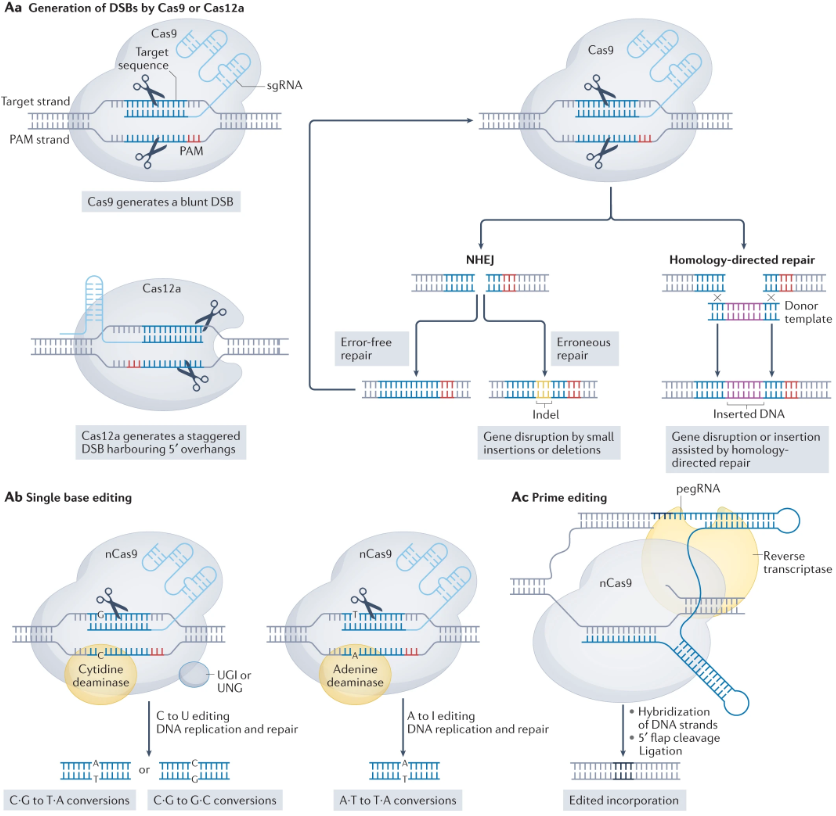 Nature Reviews Molecular Cell Biology tweet media