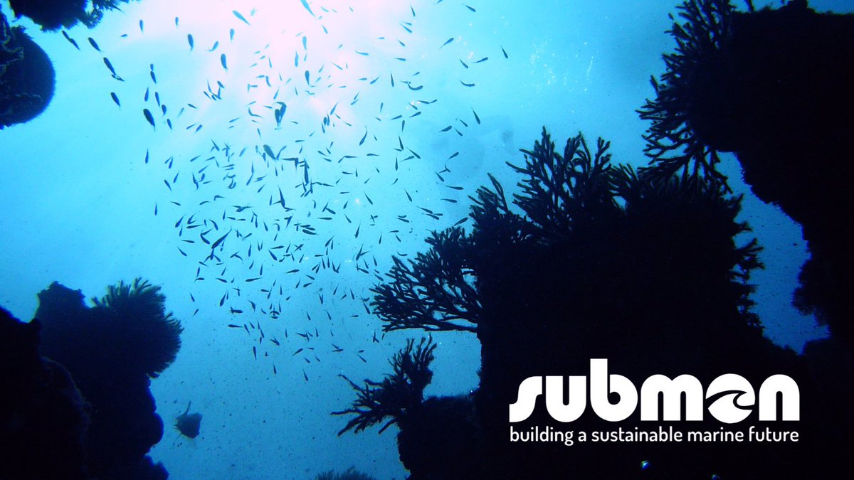 A few weeks ago, Twitter blocked our <a href="/submon/">Surbt</a> account. We are trying to recover it, please help with a RT mentioning @twittersupport.

In the meantime, you can follow us on this new account. Thanks for your support! 🌊 💪