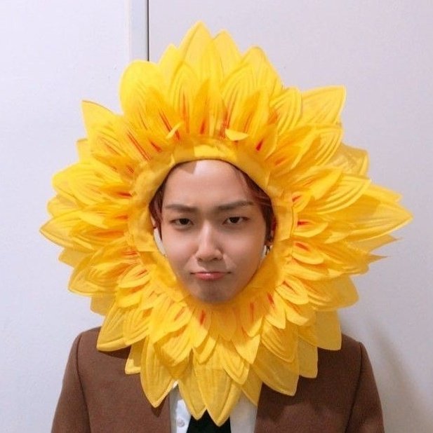 Waddle_Skribble's tweet photo. @sychlvr hahaghs sunflower mooney 🌻 https://t.co/nZPHSP2AcU