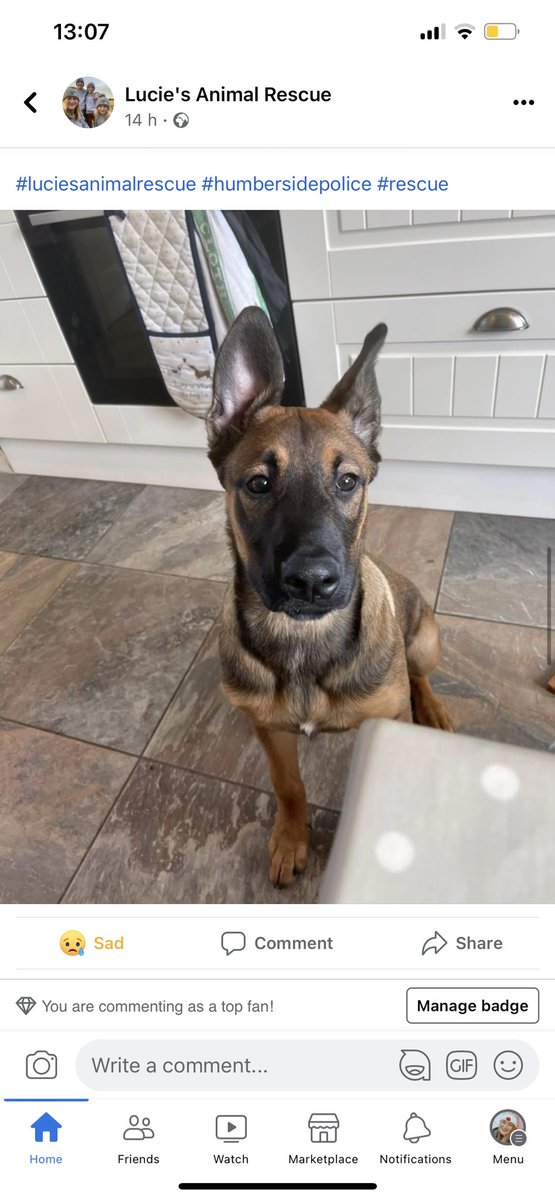 Ell Task tweet media