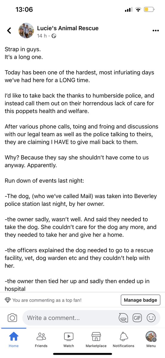 Ell Task tweet media