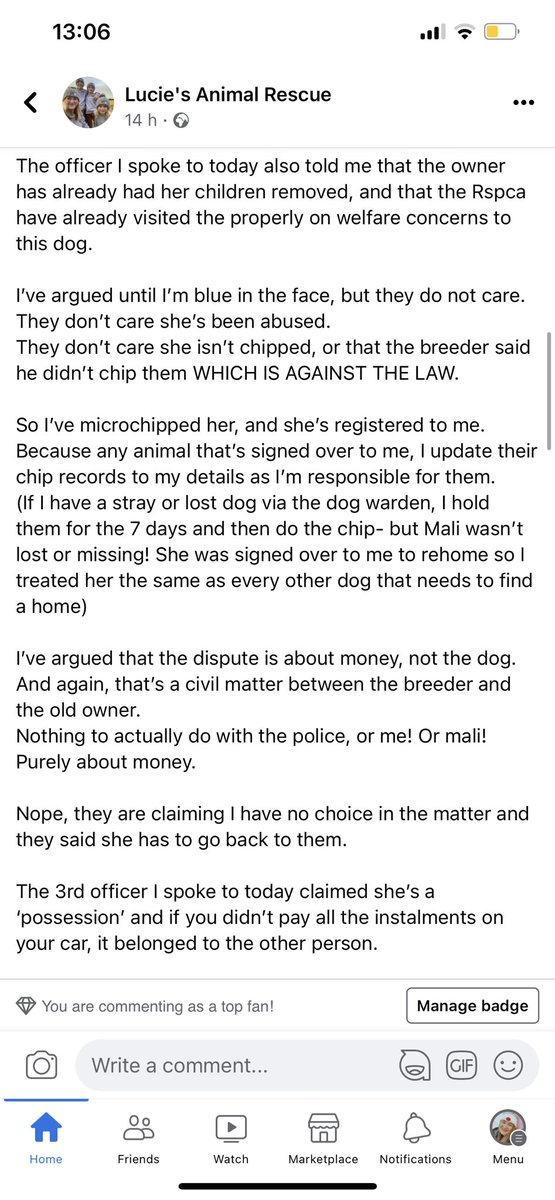 Ell Task tweet media