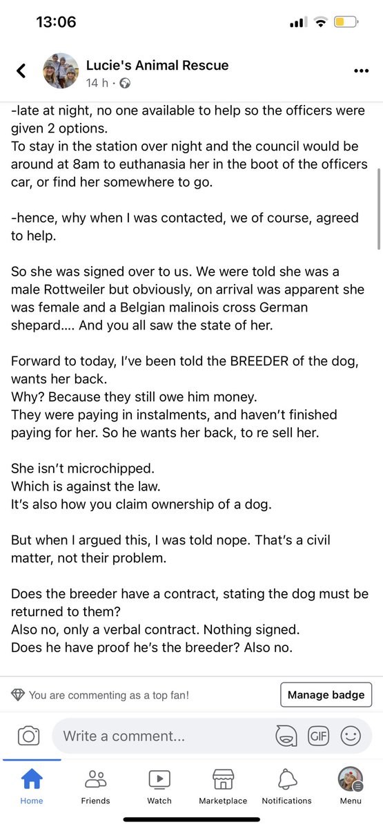 Ell Task tweet media