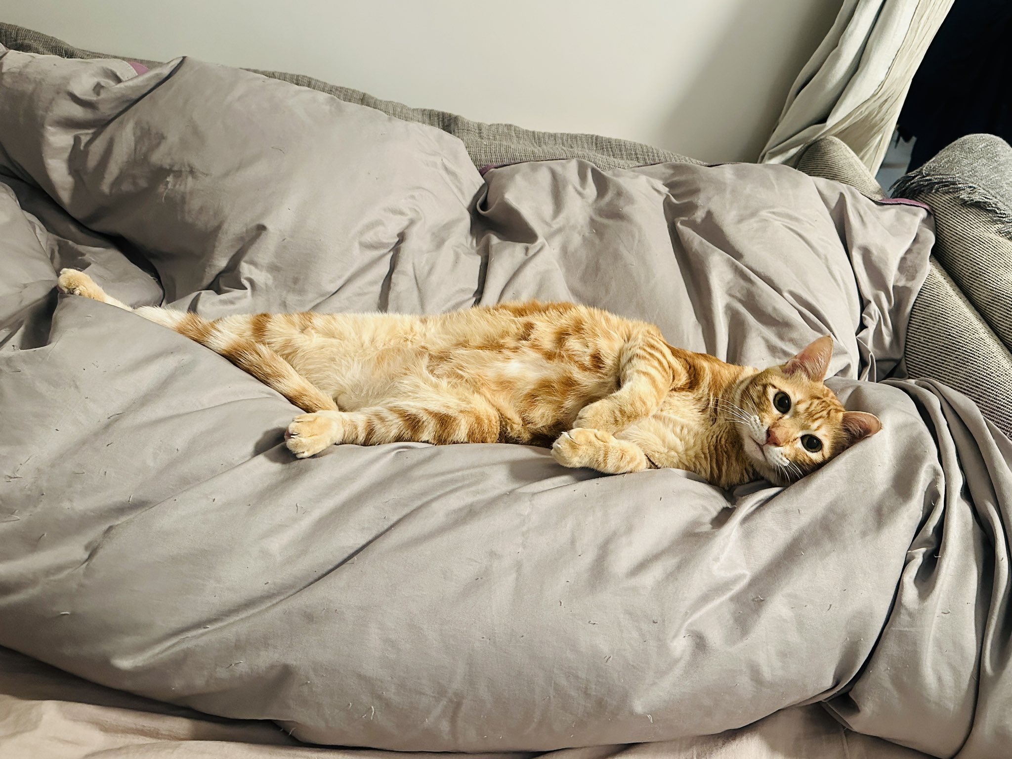 nanase様専用 ✨アウトレット販促品✨ funleucemialinfoma.org