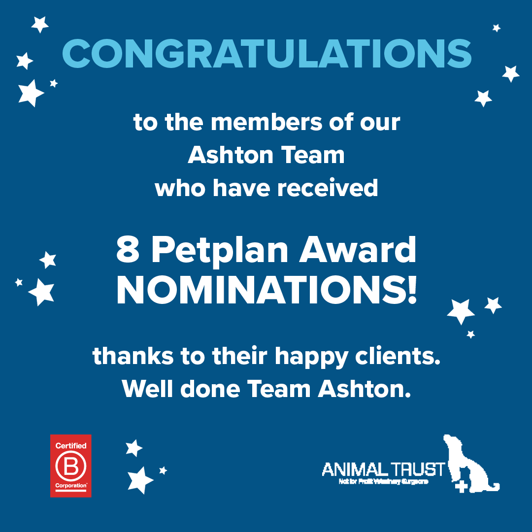 Animal Trust Vets tweet media