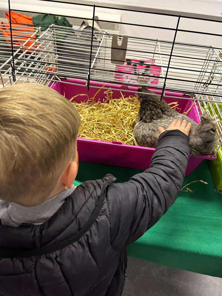 BankheadBegin1's tweet photo. Thank you to all of our families who attended our first Family Fiesta! It was lovely to see all of you! https://t.co/Qe4u7Jneke