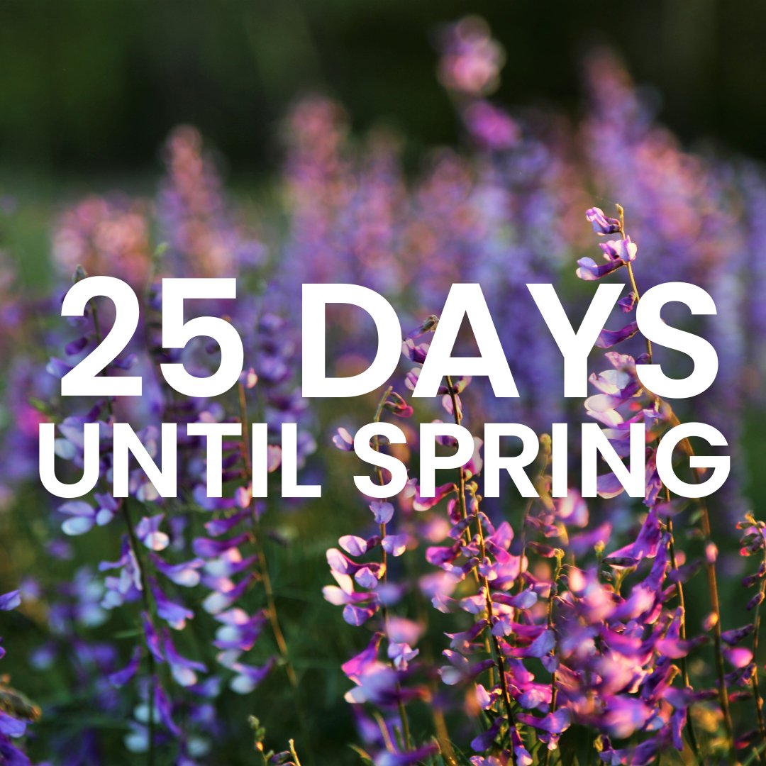 Who's excited? Because we are! 🌻☀