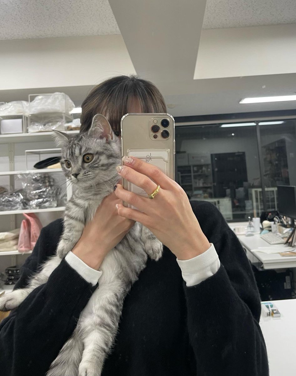 joah_chika's tweet photo. ウジュ事務所初出勤🖖🏻
おつにゃんこ🦕
みんな遊びに来て��れて嬉しかったね🫶🏻 https://t.co/9is9KKxtEs