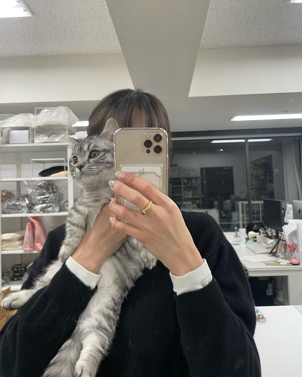 joah_chika's tweet photo. ウジュ事務所初出勤🖖🏻
おつにゃんこ🦕
みんな遊びに来て��れて嬉しかったね🫶🏻 https://t.co/9is9KKxtEs