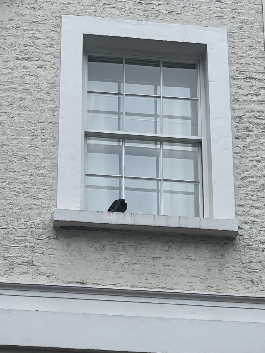 Andrew Lees tweet media