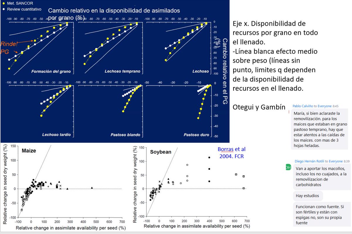 Jorge Mercau 🇦🇷 tweet media