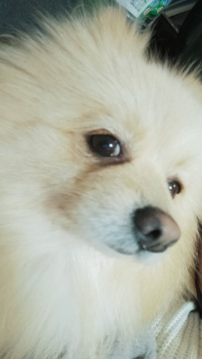 カメラで撮ろうとしたら📷、、、