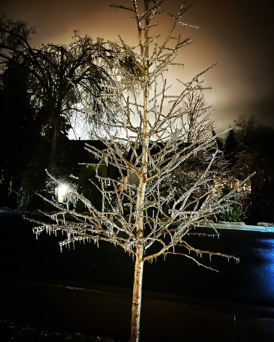 Jeffrey Berinstein tweet media