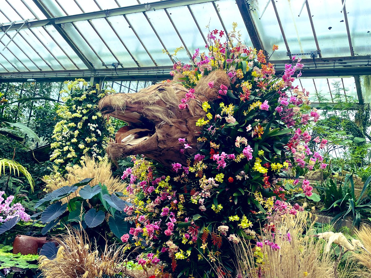 catchpole75's tweet photo. Absolutely beautiful….. @kewgardens #orchidfestival #kewgardens 🌸 🌺   #botanicalbusiness https://t.co/4TCHad31XL