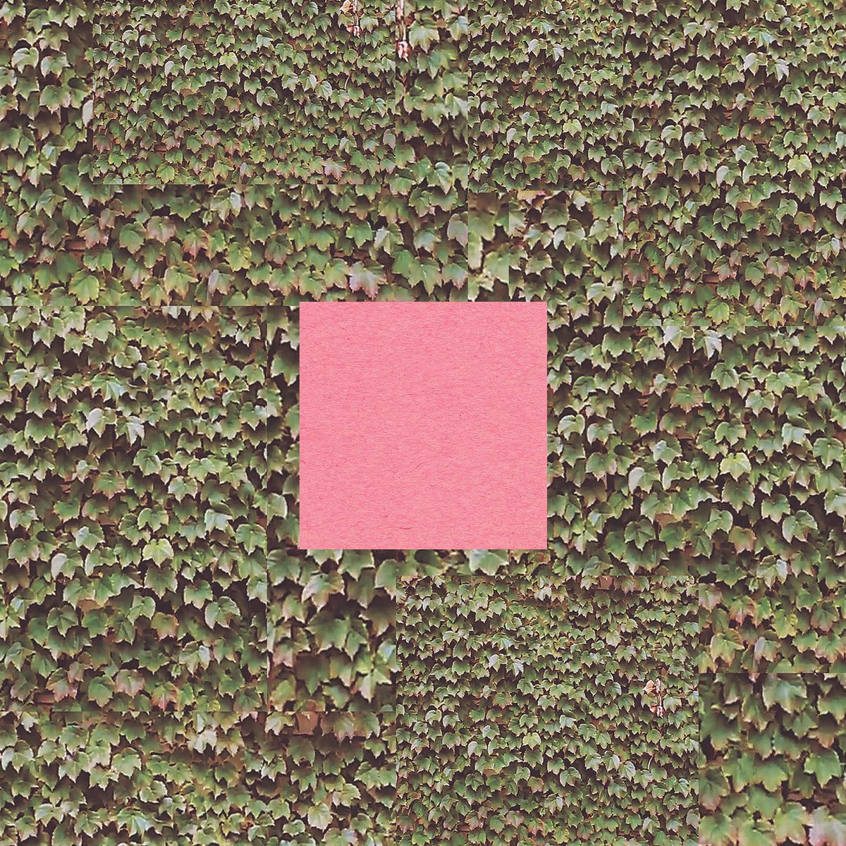 wearethewillows's tweet photo. hello. 

DEEP BREATHS [ep] is out now on @Bandcamp. It’s an instrumental ep: piano, cello, &amp; clarinet. I think it’s best in the background while ya read.  

I hope you find a chance to check it out.

https://t.co/XY3Eh9Gxa7 https://t.co/w5DEXNIiJJ