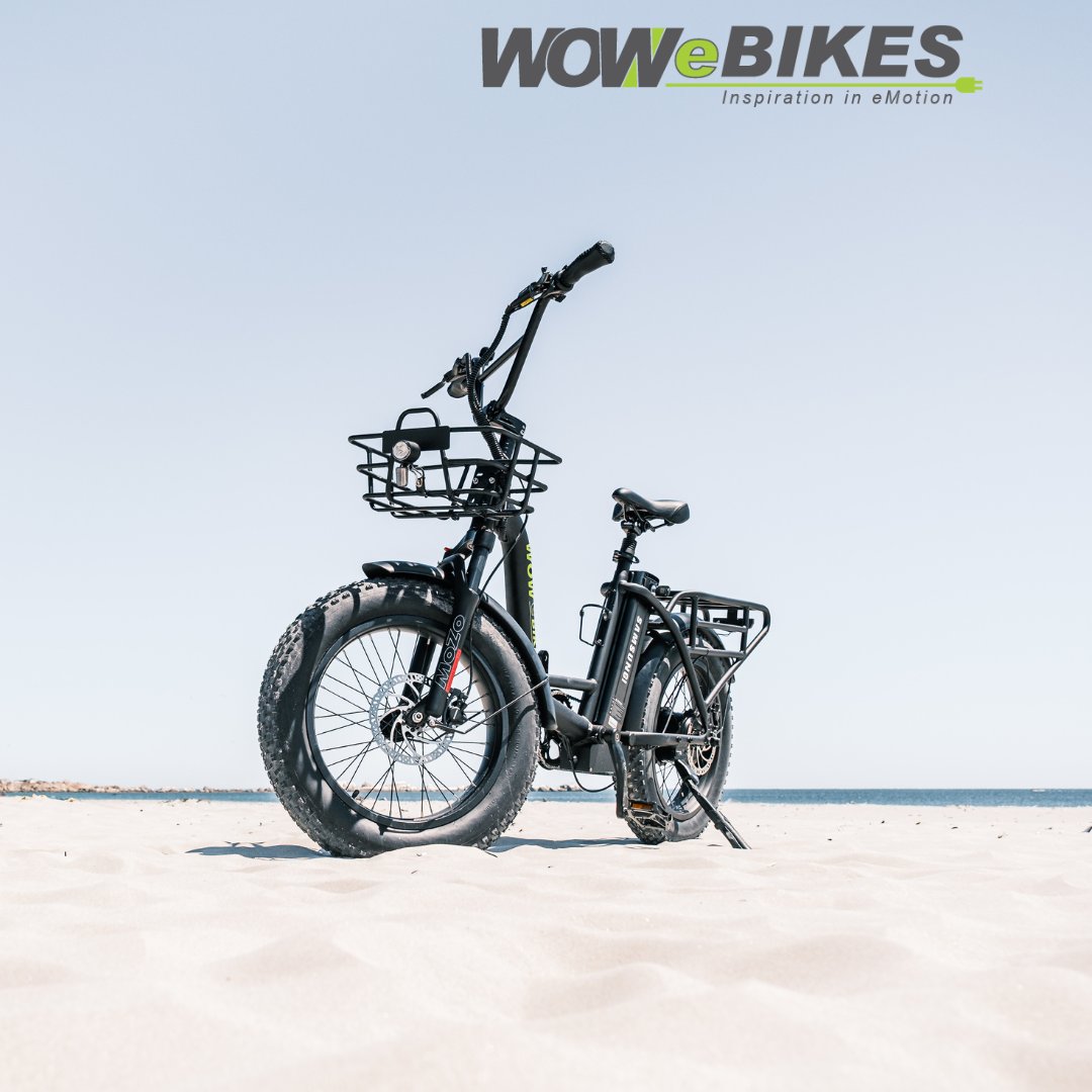 E-Fest Electric tweet media