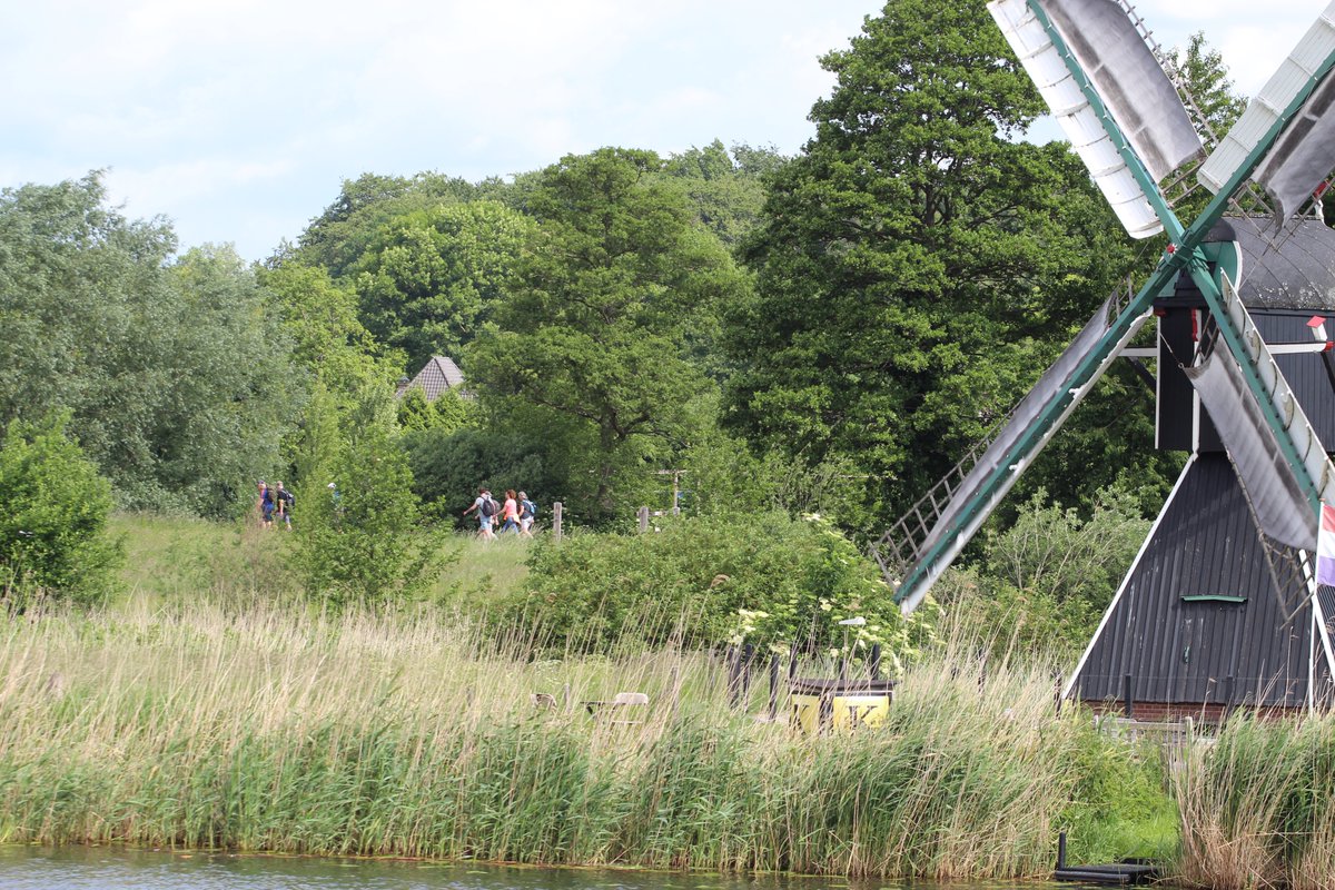 Wandelvierdaagse tweet media