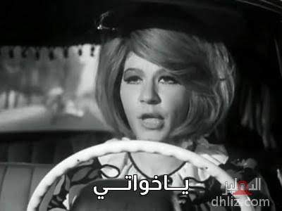 Muhammad M. Mansour 🪬 محمد منصور tweet media