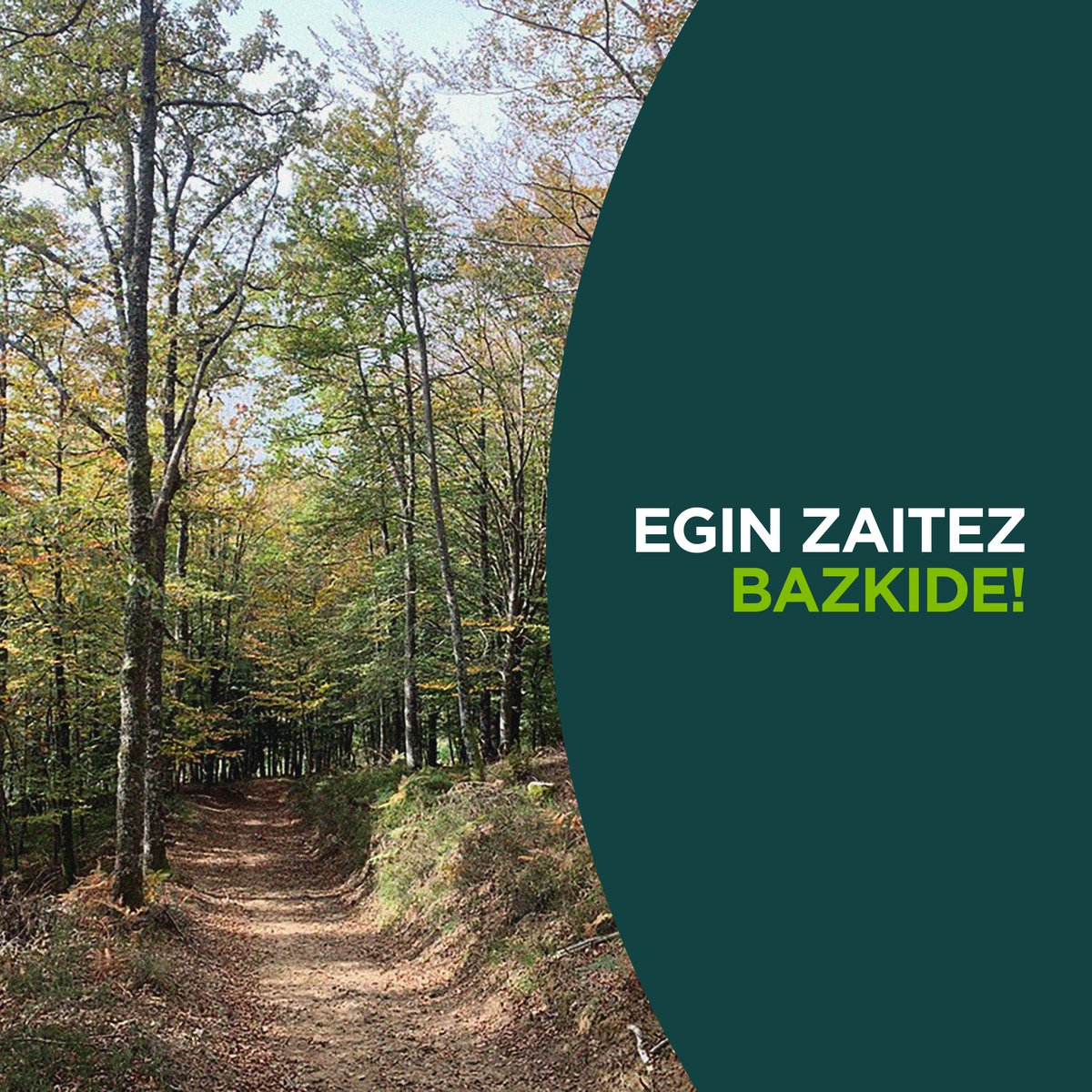 Tantai Baso Jabe Kooperatiban zure aletxoa jarri nahi? Lur-jabea zara edota inguruko basoen kudeaketa ereduak kezkatzen zaitu?
Jarri harremanetan gurekin eta egin zaitez bazkide!