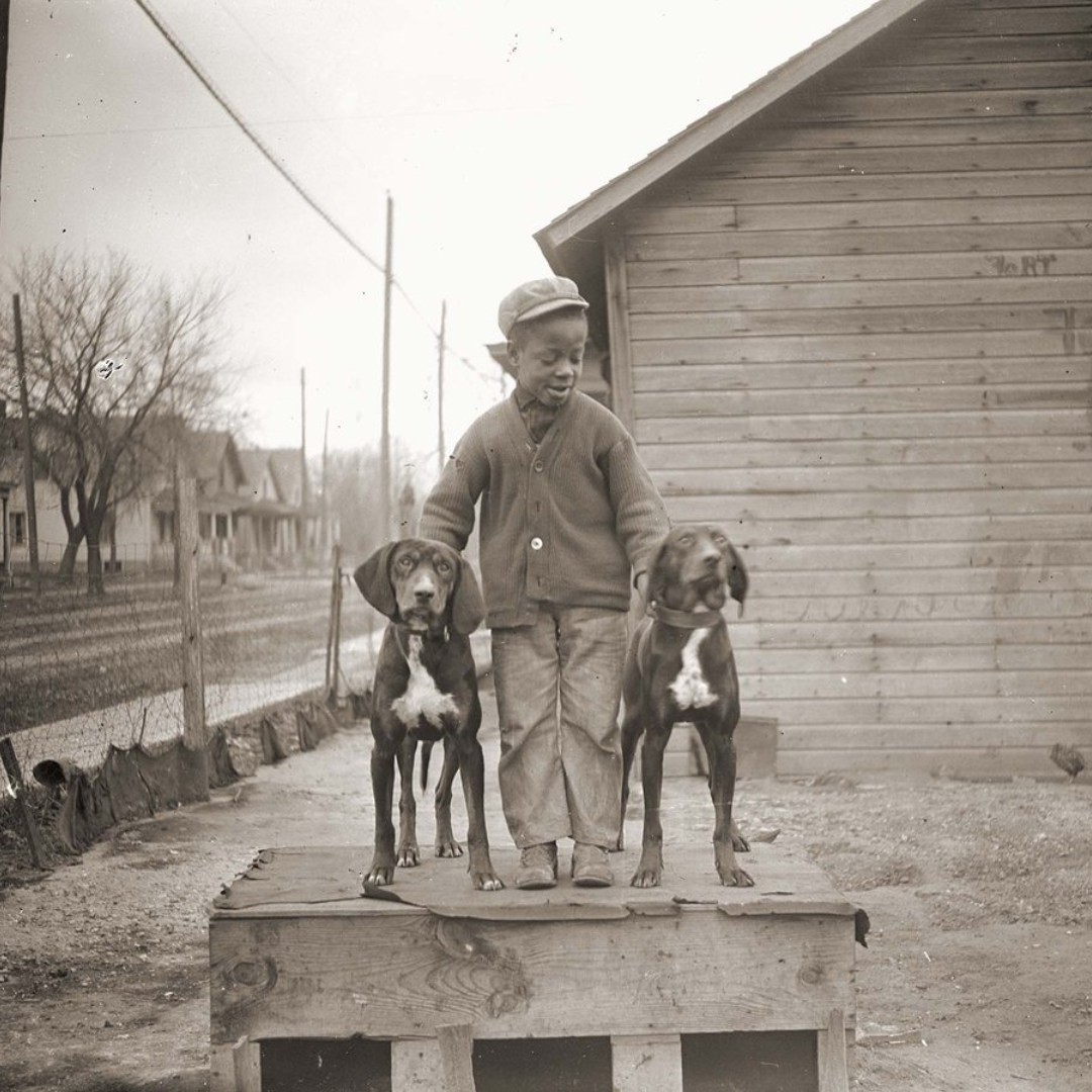 NebPublicMedia's tweet photo. These rare photographs of Black families taken in Lincoln during the early 1900s by John Johnson may make him one of the great African American photographers of the 20th Century.

Learn more about John Johnson &amp; see more of his photos at https://t.co/91drP8crBF #BlackHistoryMonth https://t.co/R46lnv6yTl