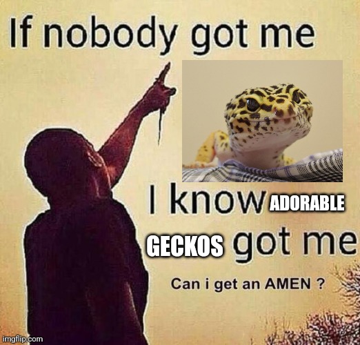 GeckosDaily_'s tweet photo. Good morning Everyone ❤️ https://t.co/5Qhw58zTWk