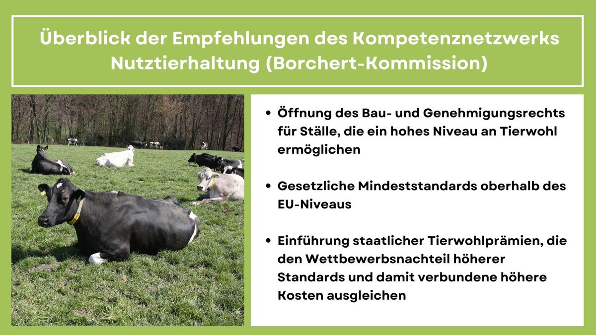 Ein Überblick über die Empfehlungen, die von dem Kompetenznetzwerk #Nutztierhaltung erarbeitet wurden.⤵️
#DialogMilch #BorchertKommission
