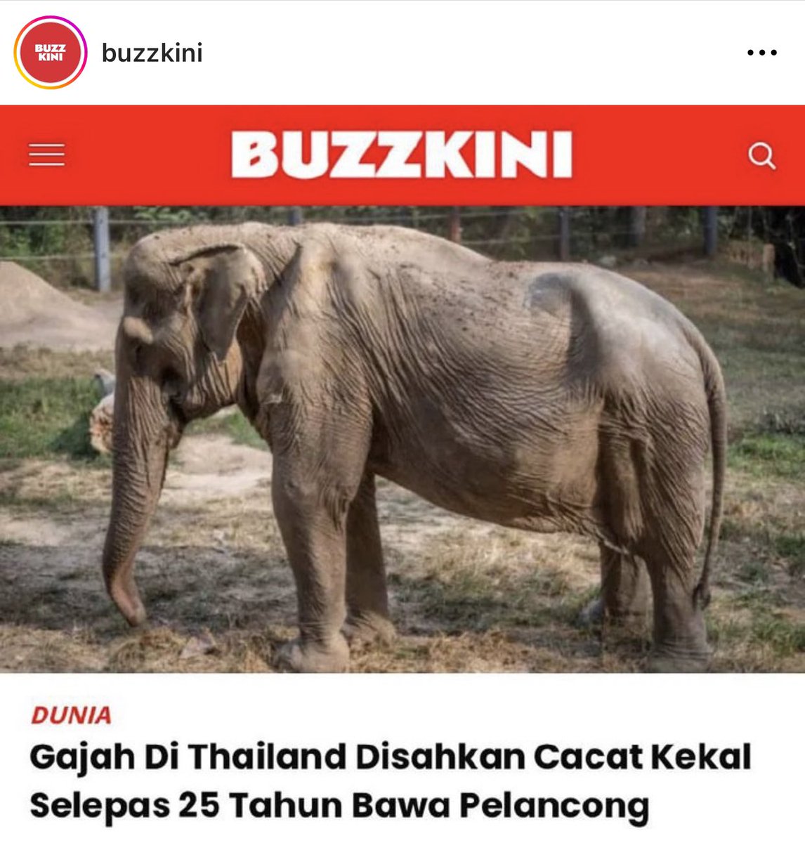 nuuraimuni's tweet photo. Animal abuse is next to human abuse. I don’t understand why people think this is no big deal. Treat animals as living beings la. https://t.co/J1DWadf6dI