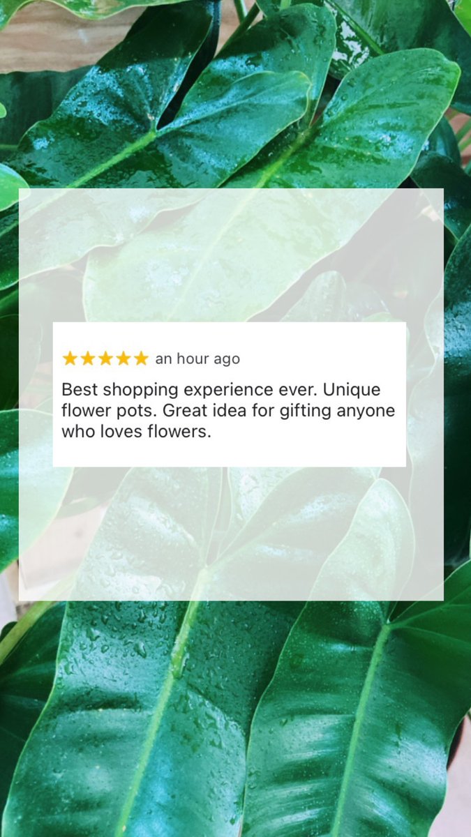WoodNGreen's tweet photo. Thank you!  We love our customers! https://t.co/mWrB83D5Vq