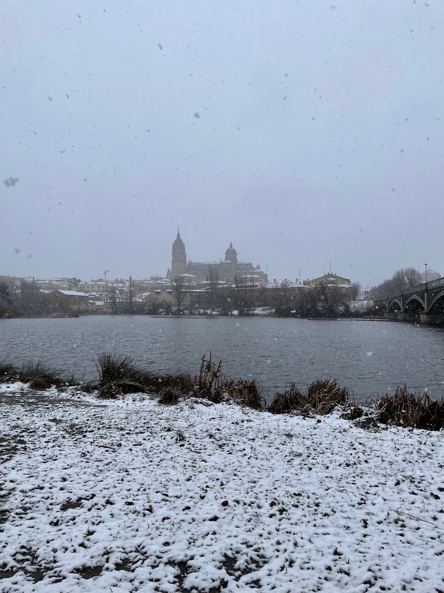 Lauralvarezal's tweet photo. ❄️❄️❄️ https://t.co/v9g340FPFB