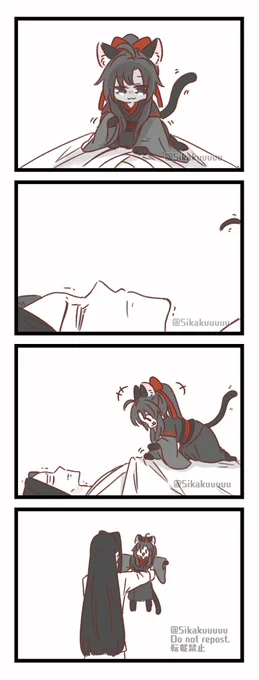🐱 