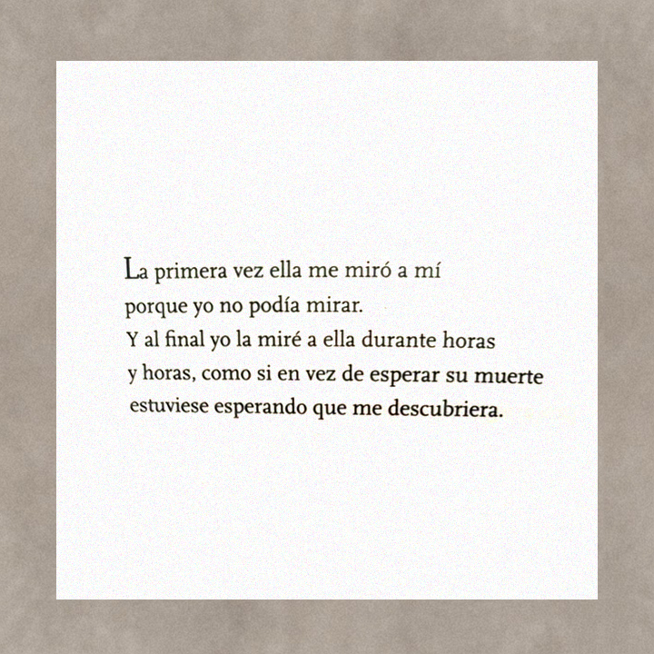 Zivals's tweet photo. Te regalamos este fragmento de "Cómo cocinar un lobo", de @magaetchebarne
De esos para marcar con resaltador:
@leemosBigSurArg
#libro
#poesía
#poema
#zivals https://t.co/rAvLhA7ikk