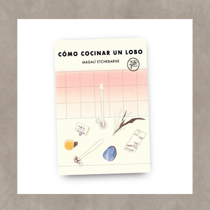Zivals's tweet photo. Te regalamos este fragmento de "Cómo cocinar un lobo", de @magaetchebarne
De esos para marcar con resaltador:
@leemosBigSurArg
#libro
#poesía
#poema
#zivals https://t.co/rAvLhA7ikk