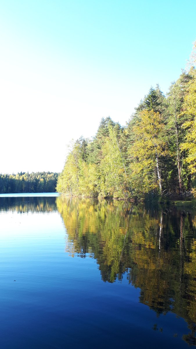 BioAssembler's tweet photo. We are completing the first 6 months of work on @BioAssembler!

Here is a remembrance of our kick-off meeting in Espoo, #Finland. 2-days discussing the future of #biosensors which also allowed the team to get to know each other, and appreciate the natural beauty of the country. https://t.co/8vNPjnDgN4