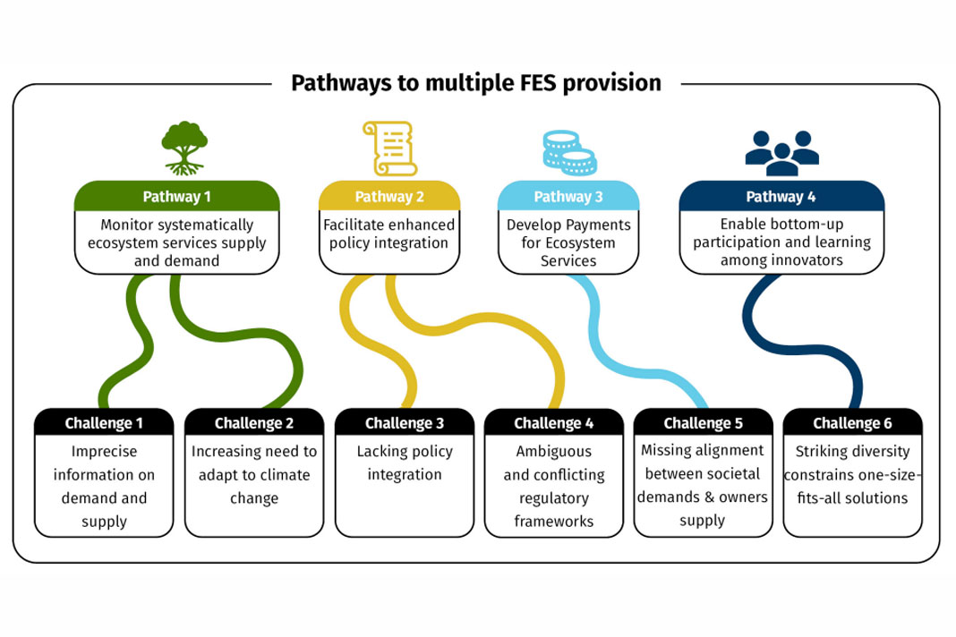 efimedfacility's tweet image. How to govern Europe’s multiple forest #EcosystemServices (FES)? 

🔹 Improve FES monitoring 🔎
🔹 Enhance policy integration 🤝
🔹 Develop payments for FES 💶
🔹 Support innovations 💡

Read more in this @europeanforest policy brief  👉 efi.int/news/which-rou…