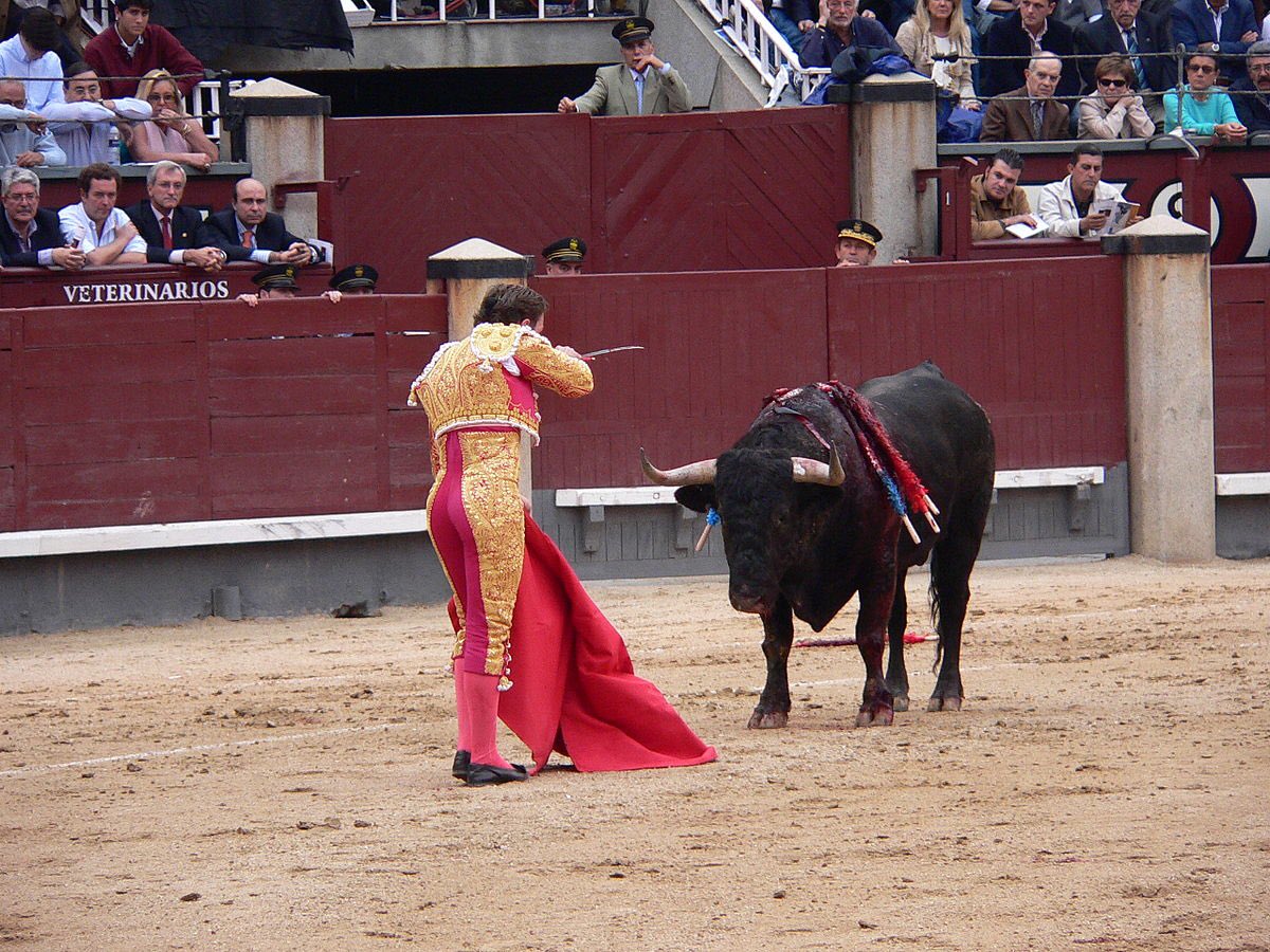stuDLFSeeds's tweet photo. A great Spanish quote heard today regarding greens speeds and heights of cut. “The bullfighter always gives his best performance just before he dies!” 🎉🌱⚰️ #genius https://t.co/e8NCLz0OIH