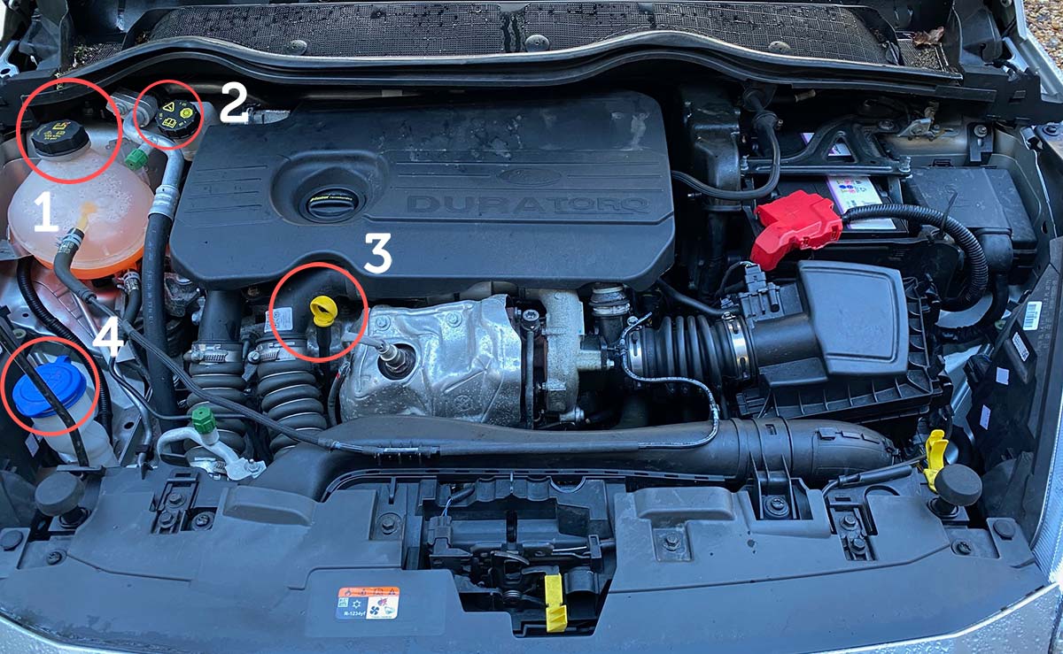 RISEfm943's tweet photo. Ladies do you ever know what's wrong with your car when you start hearing sounds or having problems?
How well do you know your car, TELL US WHAT IS WHAT HERE
013 757 0096
#RISEfmDriveWithLillyAndCheese
#MpumalangaAzishe https://t.co/yF6HMIWEv6